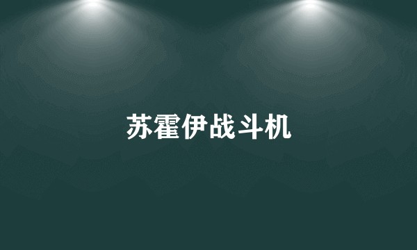 苏霍伊战斗机