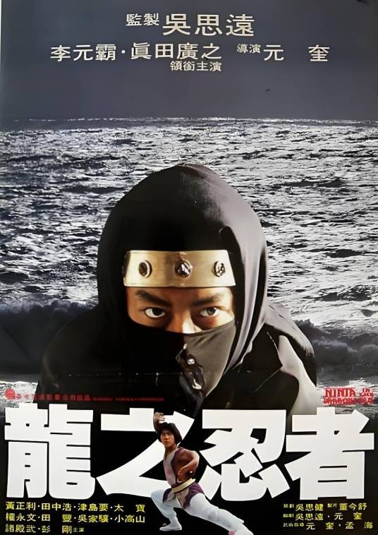 龙之忍者（1982年元奎执导的动作电影）