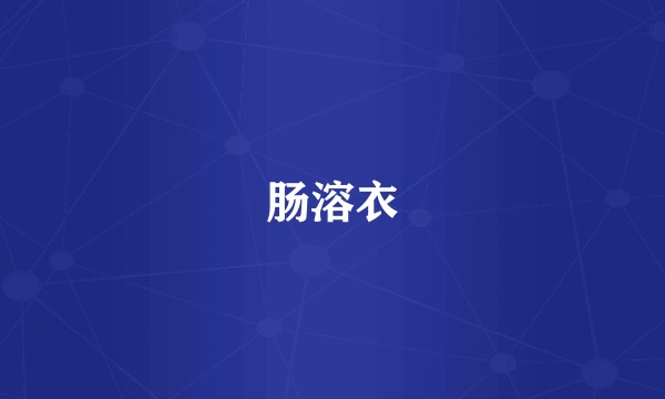 肠溶衣