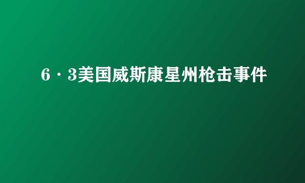 6·3美国威斯康星州枪击事件