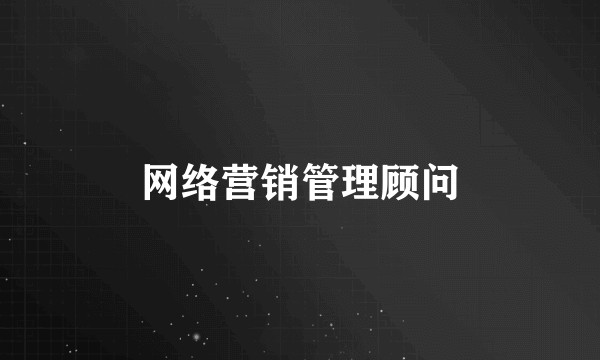 网络营销管理顾问