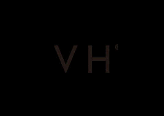 vh（品牌名称）