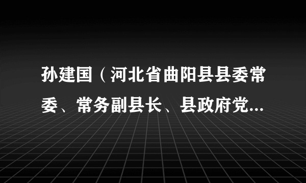 孙建国（河北省曲阳县县委常委、常务副县长、县政府党组副书记）