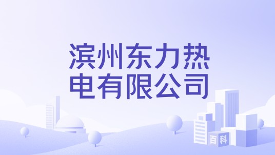 滨州东力热电有限公司