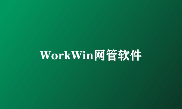 WorkWin网管软件