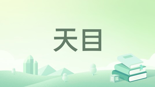 天目（弥煞创作的小说）