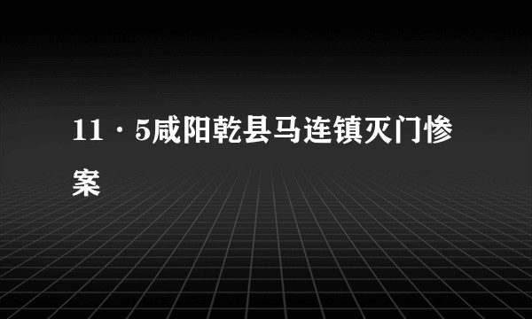 11·5咸阳乾县马连镇灭门惨案