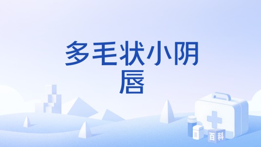 多毛状小阴唇