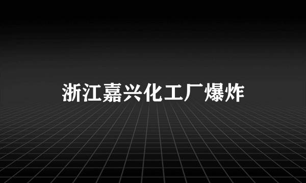 浙江嘉兴化工厂爆炸