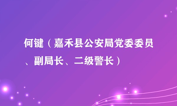 何键（嘉禾县公安局党委委员、副局长、二级警长）
