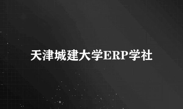 天津城建大学ERP学社