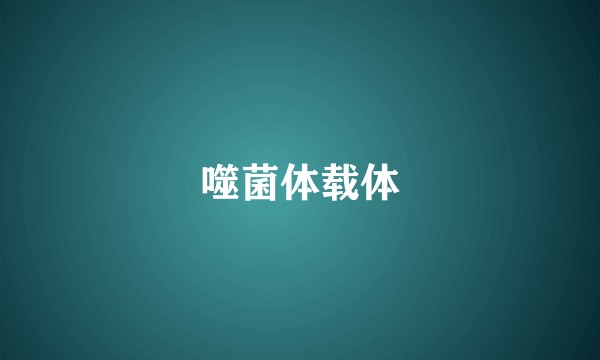 噬菌体载体
