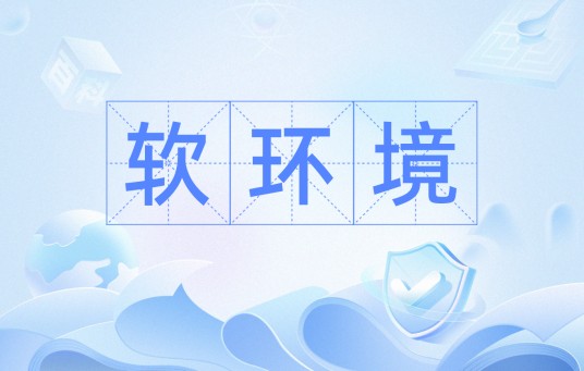 软环境（经济学术语）