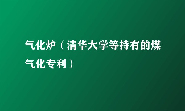 气化炉（清华大学等持有的煤气化专利）