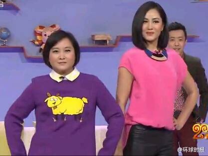 女神和女汉子(2015年春节联欢晚会中的语言类小品节目《喜乐街》中的精彩对白)