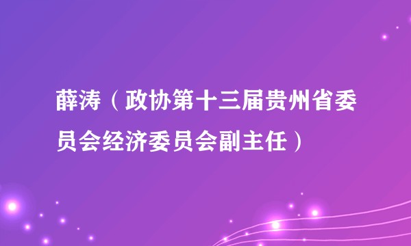 薛涛（政协第十三届贵州省委员会经济委员会副主任）