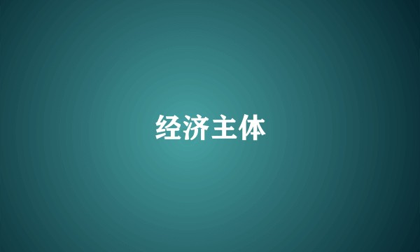 经济主体
