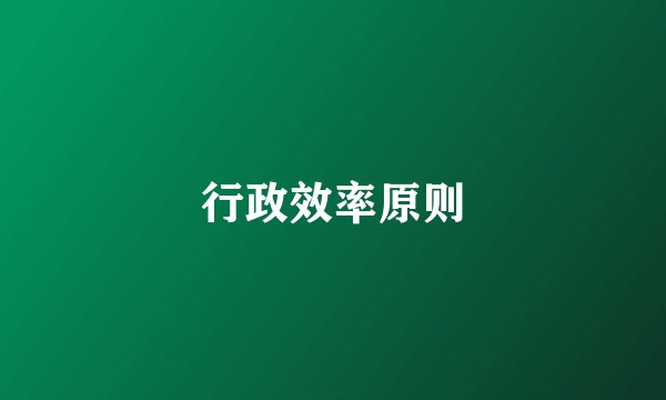 行政效率原则