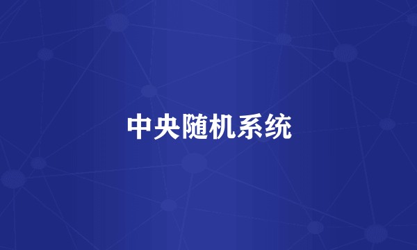 中央随机系统