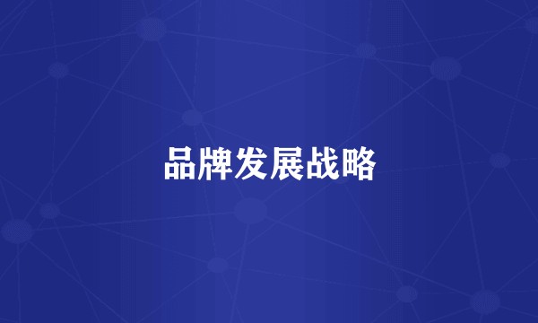 品牌发展战略