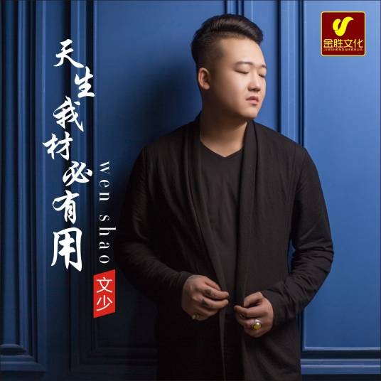 天生我材必有用（文少演唱音乐作品）