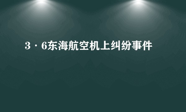 3·6东海航空机上纠纷事件