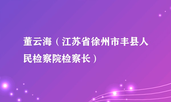 董云海(江苏省徐州市丰县人民检察院检察长)