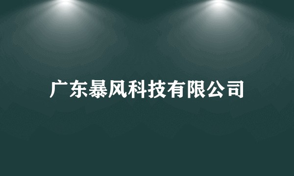 广东暴风科技有限公司
