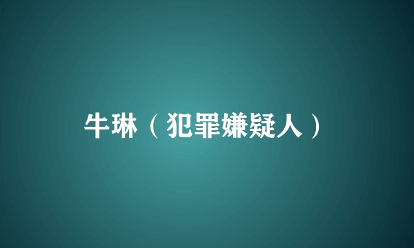 牛琳(犯罪嫌疑人)