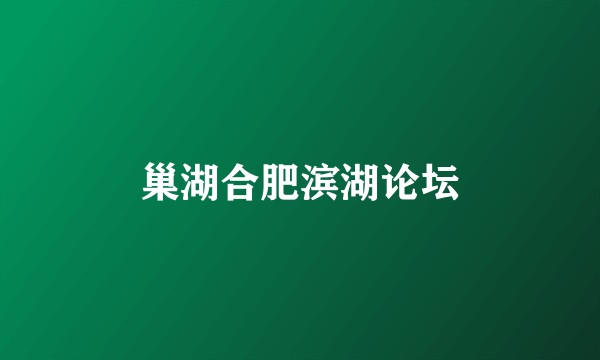巢湖合肥滨湖论坛