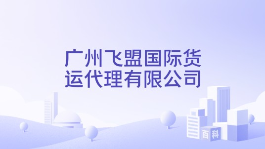 广州飞盟国际货运代理有限公司
