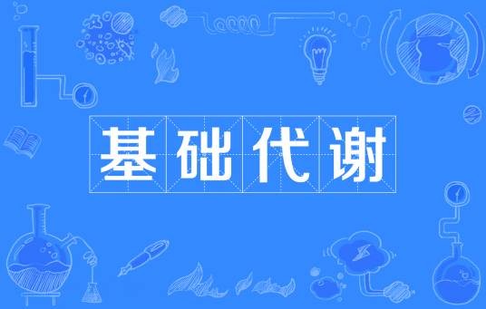 基础代谢
