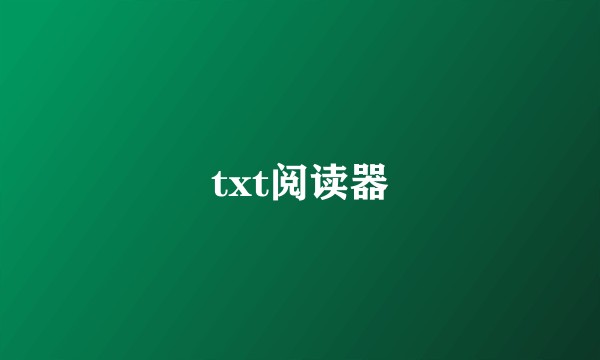 txt阅读器