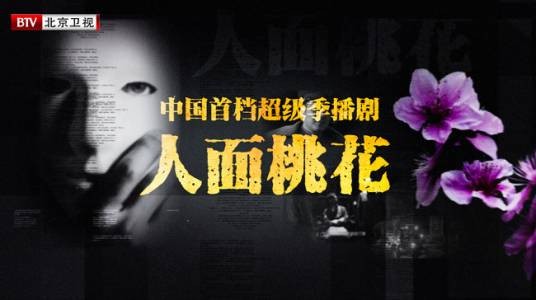 人面桃花（2019年柳云龙执导的电视节目）