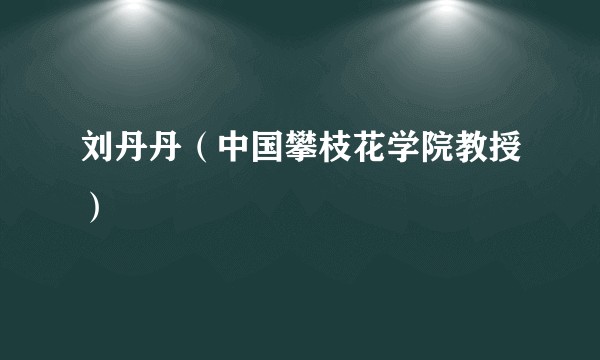 刘丹丹（中国攀枝花学院教授）