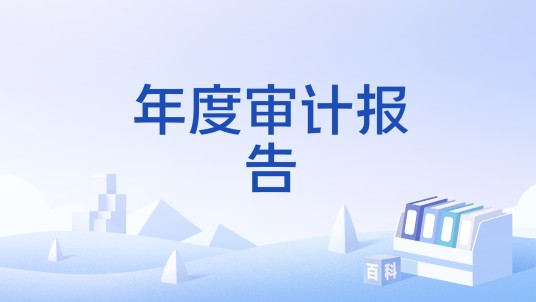 年度审计报告