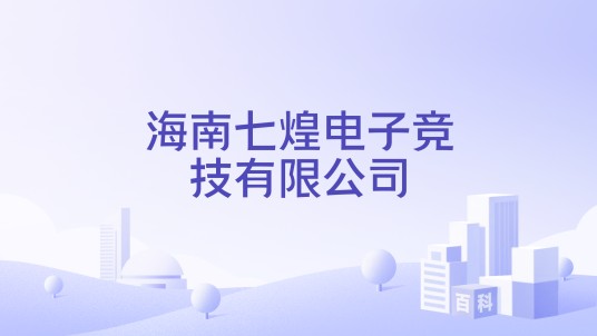 海南七煌电子竞技有限公司