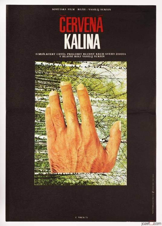红莓（苏联1974年瓦西里·舒克申执导的电影）