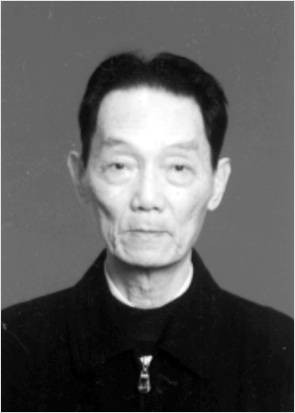沈重（海南大学信息科学技术学院教授）