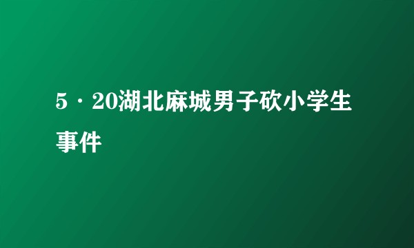 5·20湖北麻城男子砍小学生事件
