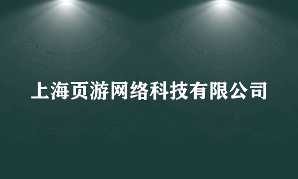 上海页游网络科技有限公司