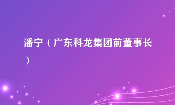 潘宁（广东科龙集团前董事长）