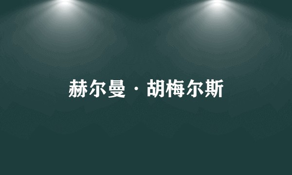 赫尔曼·胡梅尔斯