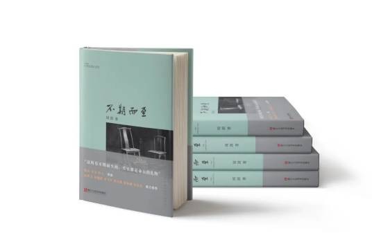 不期而至（浙江人民美术出版社出版的艺术评论集）