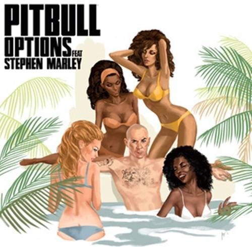 options（Pitbull演唱歌曲）
