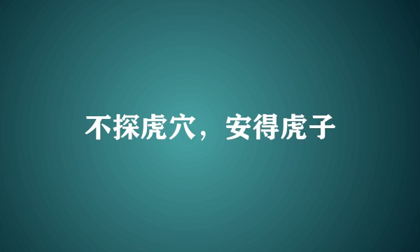 不探虎穴，安得虎子