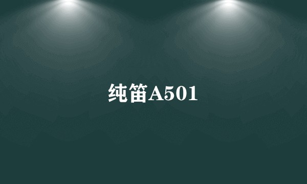 纯笛A501