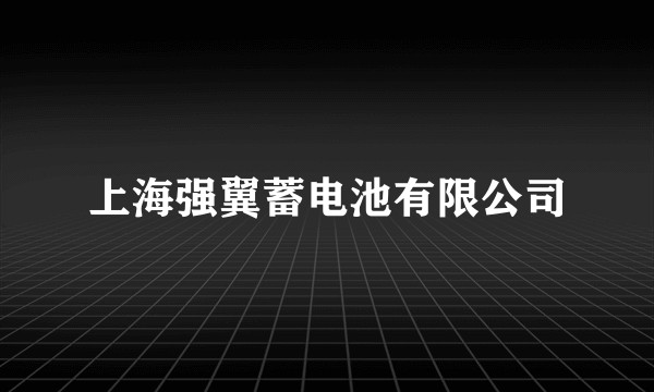上海强翼蓄电池有限公司