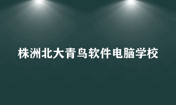 株洲北大青鸟软件电脑学校