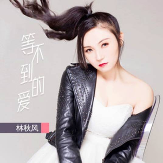 等不到的爱（林秋风演唱歌曲）